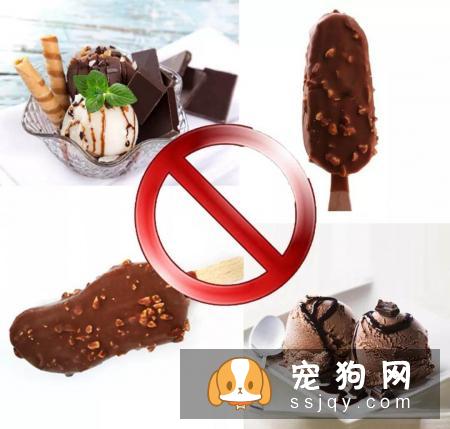 狗狗能不能吃冰棍?幼犬不建议吃,千万不能喂给它!