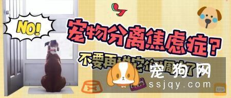 “分离焦虑症”可能出现的症状