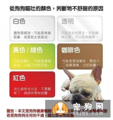 最强养狗基本知识，养狗必备干货