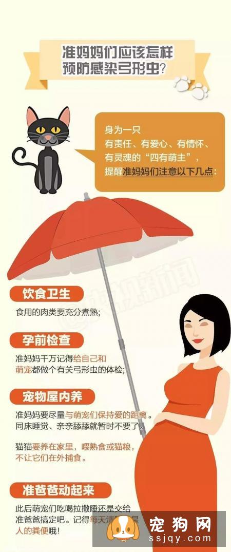 系列图让你了解弓形虫，猫狗不再做背锅侠