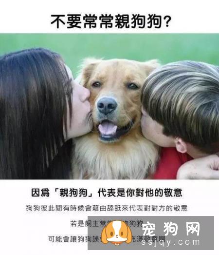 最强养狗基本知识，养狗必备干货