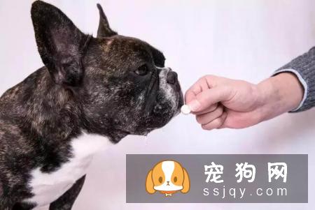 警报，你家的狗狗需要立刻驱虫！