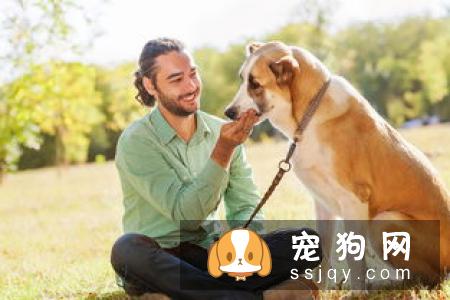 身价70亿的训犬师告知你，狗狗应该这样训练