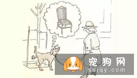 狗狗尿尿调教妙招!