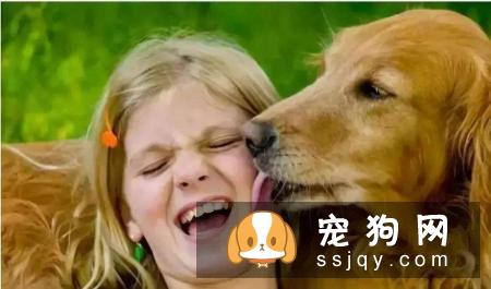 与狗零距离接触，狗狗除口臭四大技巧！