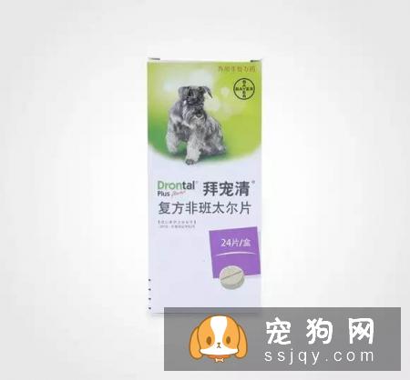 警报，你家的狗狗需要立刻驱虫！