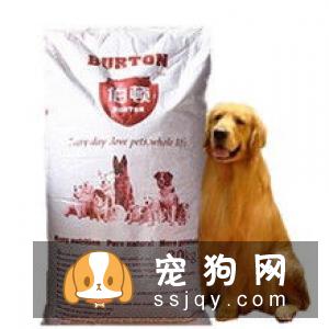 柴犬吃什么狗粮好 怎样给柴犬选购狗粮
