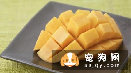 狗狗哪些水果能吃和不能吃？狗狗应该怎么吃水果？
