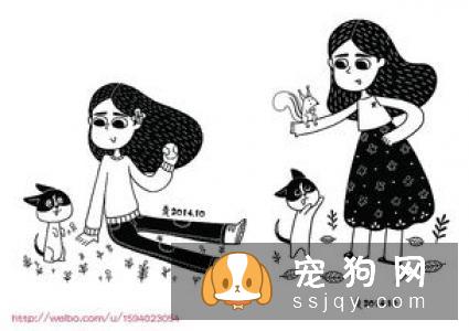 怎么才能训练狗狗捡球，狗狗捡球训练方法！