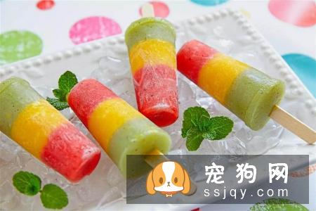 狗狗能不能吃冰棍?幼犬不建议吃,千万不能喂给它!