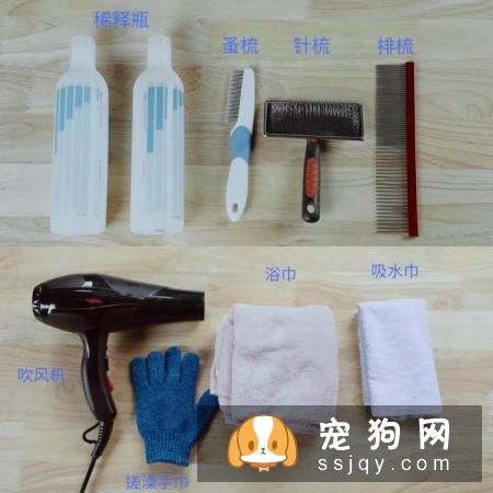 如何正确给宠物洗澡？很多人第一步就做错啦！