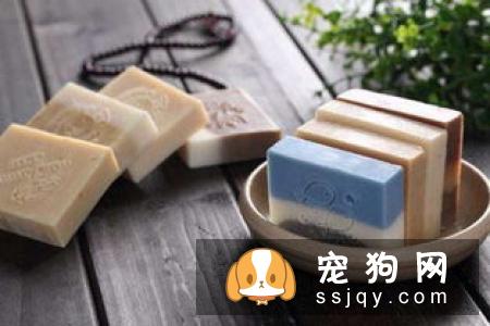 柴犬腿细是锻炼不够吗 柴犬腿细是可能怎么回事
