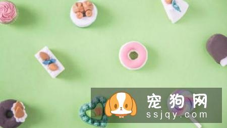 夏季是狗狗最佳减肥时间，狗狗减肥方法与注意事项
