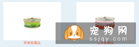 夏季来临，宠物中暑征兆及预防方法