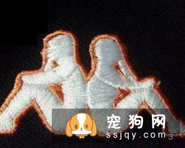 柴犬脚趾分叉  柴犬脚趾分叉的原因
