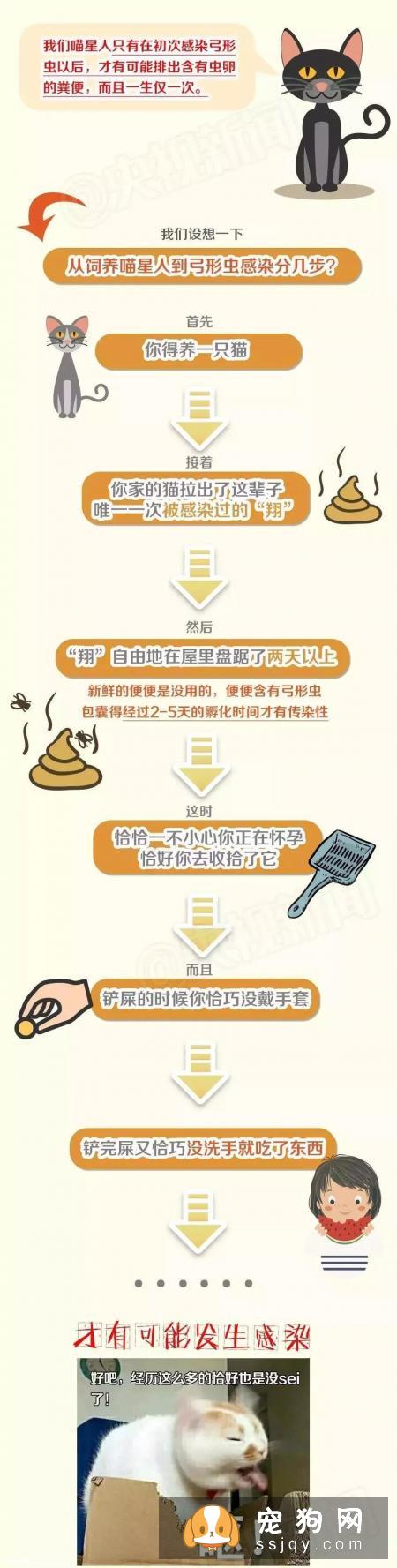 系列图让你了解弓形虫，猫狗不再做背锅侠