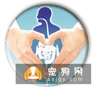 引起狗拉稀的原因