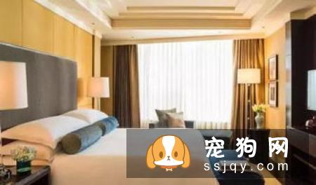 当代人租房养宠指南