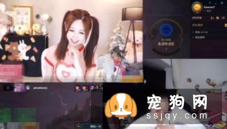 狗狗求关注的行为有这些,你知道吗?
