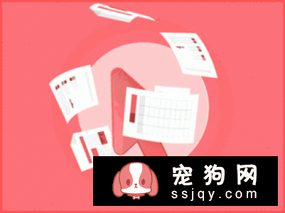 小狗生理素质的培养应该怎么做