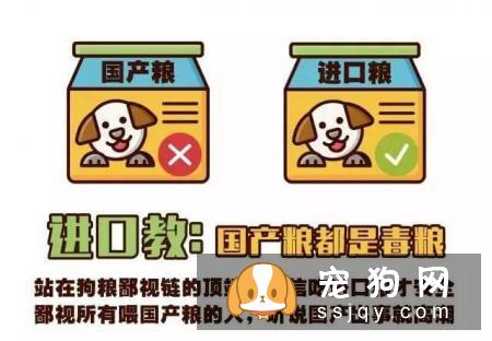 远离！养狗圈的“十大邪教”，科学养犬才是王道！