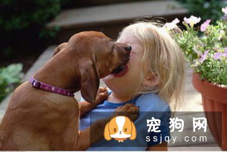 如何教育狗狗,让它改变这一行为值得主人思考