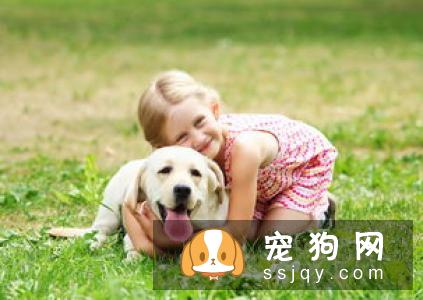 幼犬可以吃零食吗