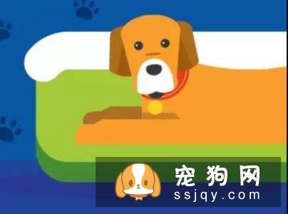 无法清理掉窝垫上的狗猫毛？听听国外铲屎官的建议吧