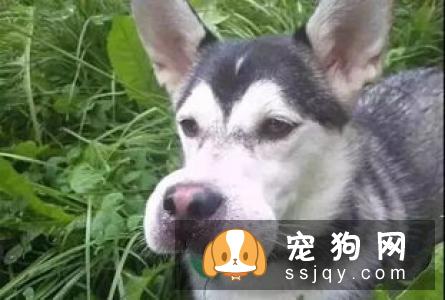 为了让自己更轻松,这几件事,一定要注意!