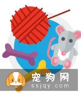 无法清理掉窝垫上的狗猫毛？听听国外铲屎官的建议吧