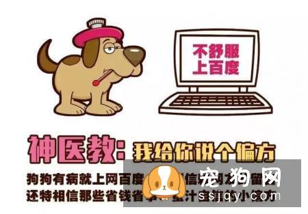 远离！养狗圈的“十大邪教”，科学养犬才是王道！