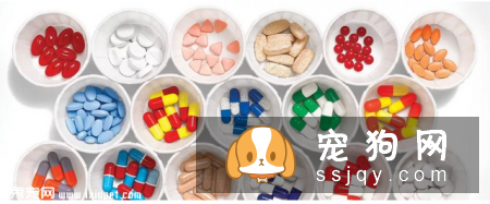 是什么原因导致狗狗胰腺外分泌不足？