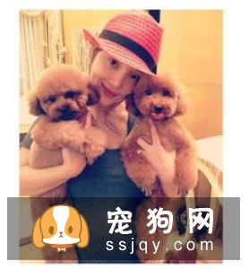 怎么把狗狗养好，第一次养狗注意事项都有哪些?