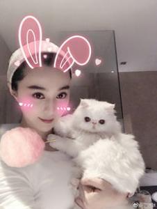 专业宠物SPA，远不止是“泡澡、按摩”那么简单