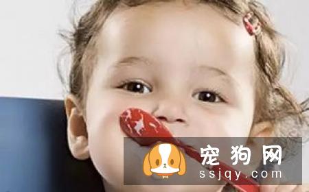 猫狗挑食是什么原因引起的，应该如何改善？