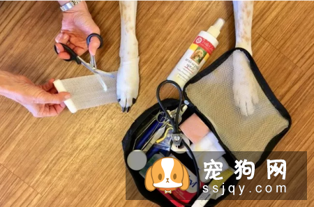 带上宠物长途旅行，宠物急救箱不能少