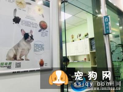 出台养狗规定，助力文明养犬