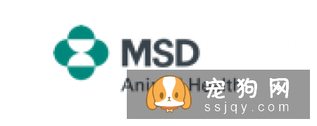 关于宠物疫苗的基本常识 你需要知道