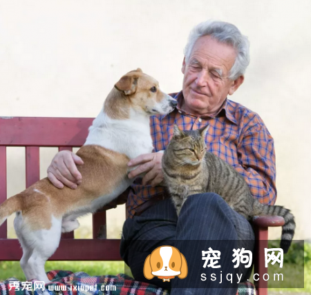 宠物过多的接种疫苗对它的身体健康有影响！