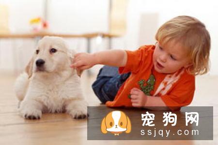 狗狗有哪些常见的牙齿口腔疾病