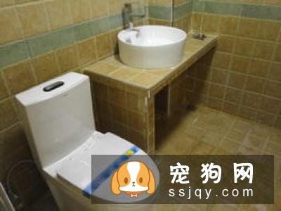 家具装潢对宠物身体有害吗？