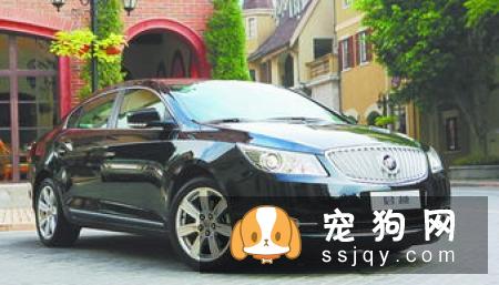带上宠物长途旅行，宠物急救箱不能少