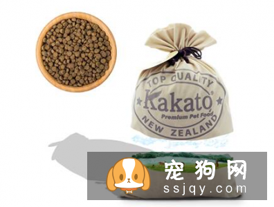 宠物为什么那么挑食?了解这些找到根源