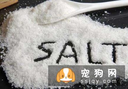 宠物到底能不能吃盐？