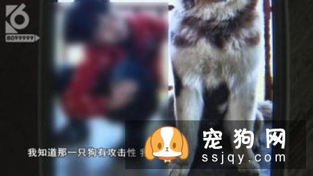 宠物罐头能否长期食用？