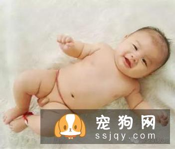 家有宠物必知：中暑征兆及预防方法