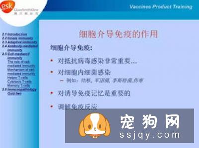 养宠物需要知道这些疫苗基础知识
