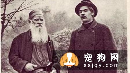 如何给狗洗澡，狗狗洗澡工具及注意事项
