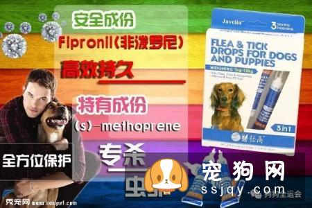 关于狗狗驱虫：闷热潮湿的8月份，是什么1变100？