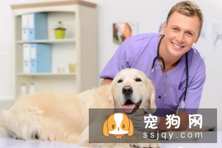 养宠物需要知道这些疫苗基础知识